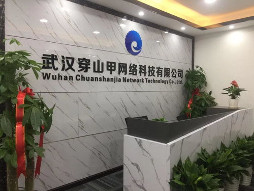 武漢穿山甲網(wǎng)絡(luò)科技 專業(yè)的網(wǎng)絡(luò)技術(shù)服務(wù)提供商